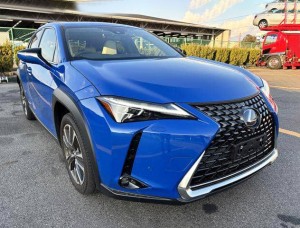 Lexus UX250h