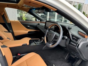 Lexus ES300h