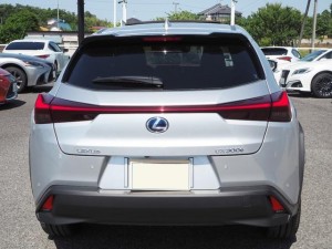 Lexus UX300e