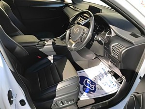 Lexus NX300h