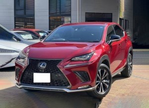 Lexus NX300h