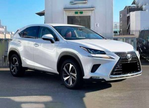 Lexus NX300