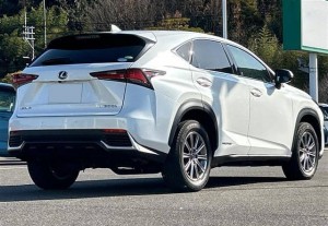 Lexus NX300h
