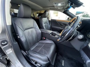 Lexus ES300h