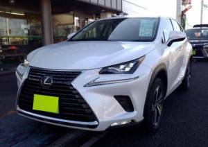 Lexus NX300