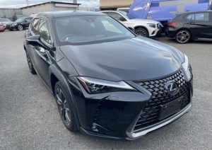 Lexus UX250h