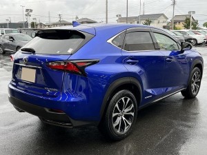 Lexus NX300