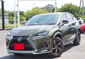 Lexus NX300h