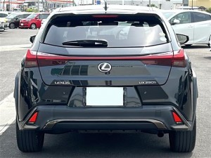 Lexus UX250h