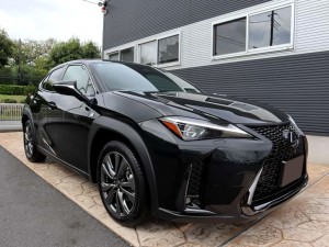 Lexus UX300h