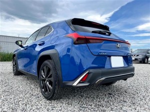 Lexus UX250h