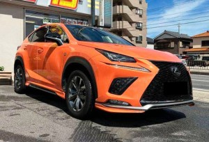 Lexus NX300