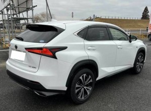 Lexus NX300