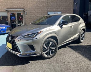 Lexus NX300h
