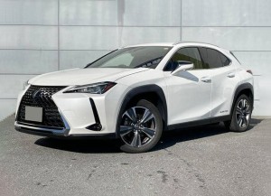 Lexus UX300e