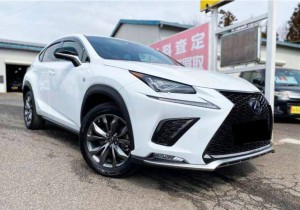 Lexus NX300h