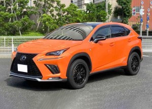 Lexus NX300h