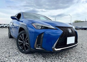 Lexus UX250h