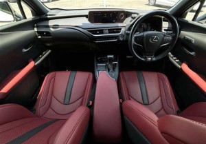 Lexus UX250h