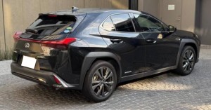 Lexus UX250h