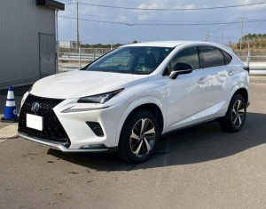 Lexus NX300h