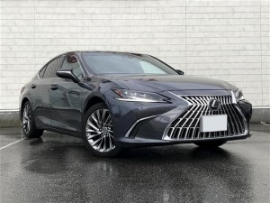 Lexus ES300h