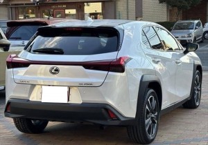 Lexus UX250h