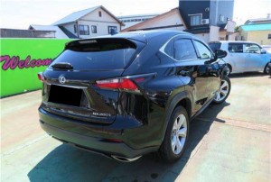 Lexus NX200t