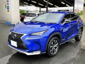Lexus NX300