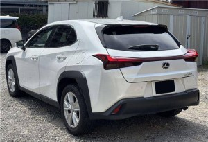 Lexus UX250h