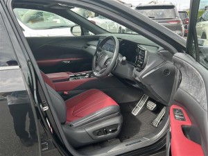 Lexus RX500h