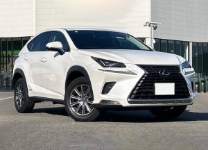 Lexus NX300h