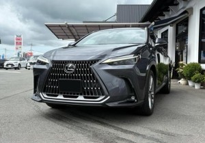 Lexus NX250