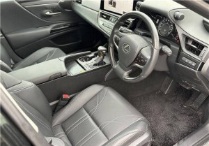 Lexus ES300h