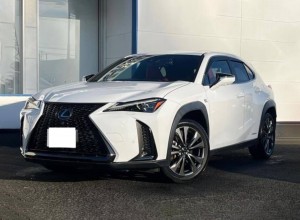 Lexus UX250h