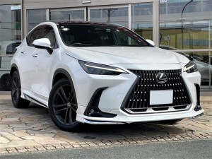 Lexus NX250