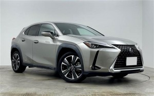 Lexus UX250h