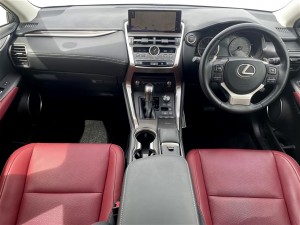 Lexus NX300