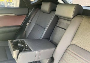 Lexus NX300h