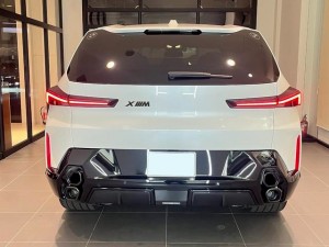 BMW XM