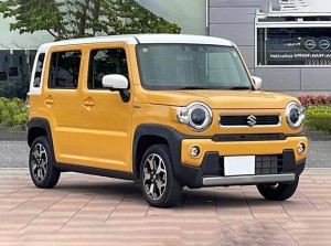 Suzuki Hustler