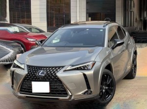 Lexus UX250h