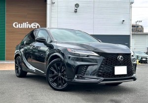 Lexus RX500h