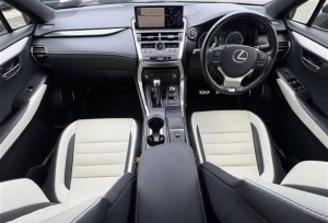 Lexus NX300