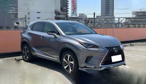 Lexus NX300