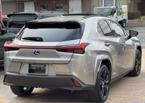 Lexus UX250h
