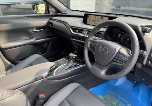 Lexus UX250h