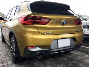 BMW X2