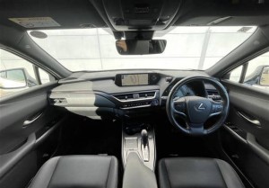 Lexus UX300e