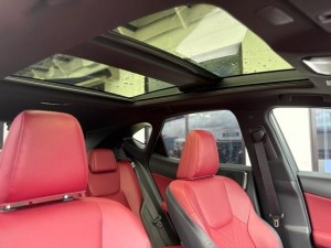 Lexus NX250